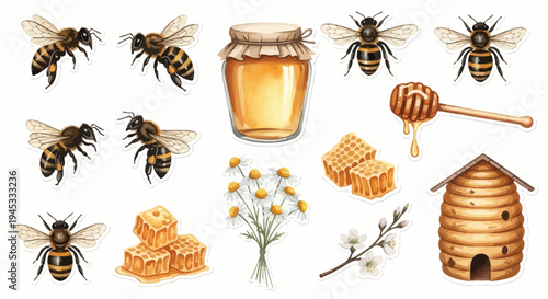 Watercolor illustration of honeybees honeycomb jar of honey and chamomile flowers