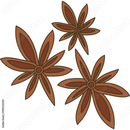 Star Anise Spice Illustration
