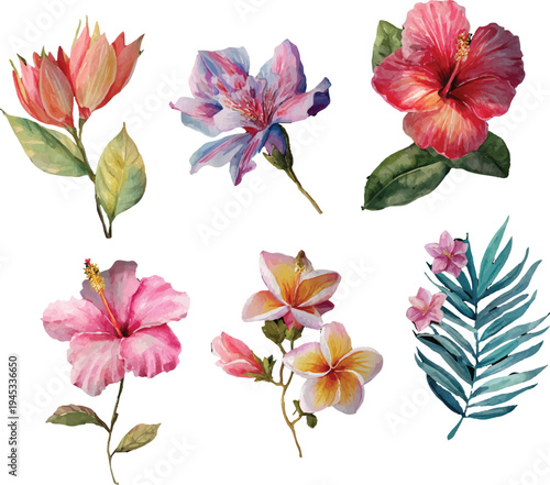 collection of flowers
