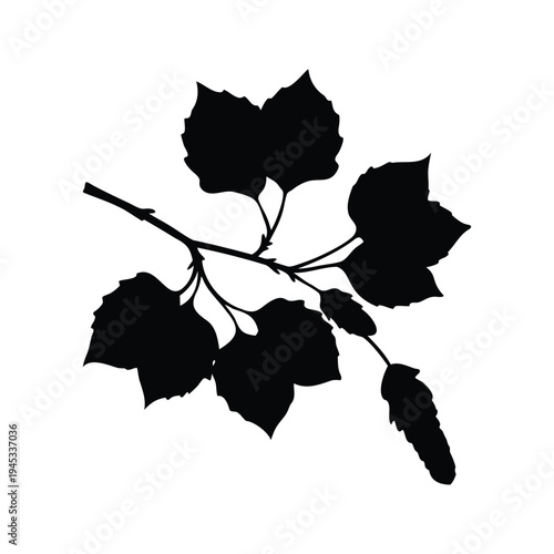 poplar branch silhouette vector illustration, silhouette of grape leaves with stem and bud vector illustration