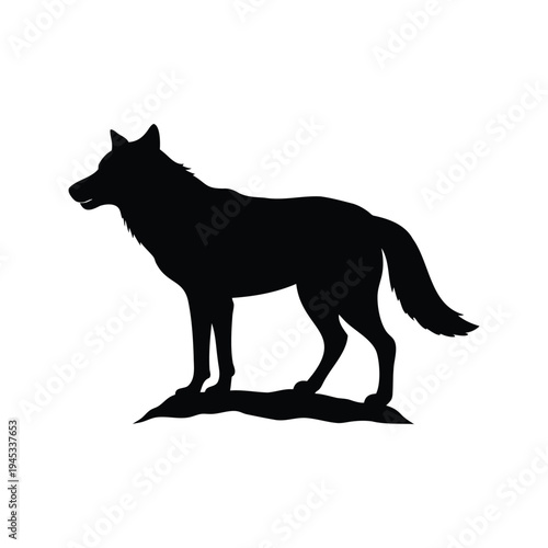 wolf marking territory silhouette vector illustration, Black and white wolf standing on a rock silhouette vector illustration
