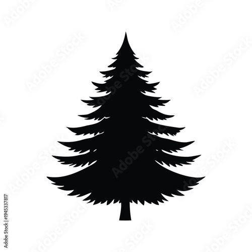 pine tree silhouette vector illustration, Silhouette of a pine tree with detailed branches and needles vector illustration