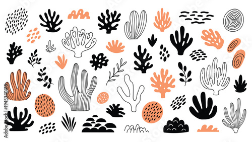 Diverse collection of abstract coral and seaweed shapes in black, terracotta, and white for marine themed designs.