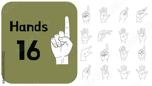 A graphic illustration of various hand gestures and signs on a white background with a green box containing the text hands 16