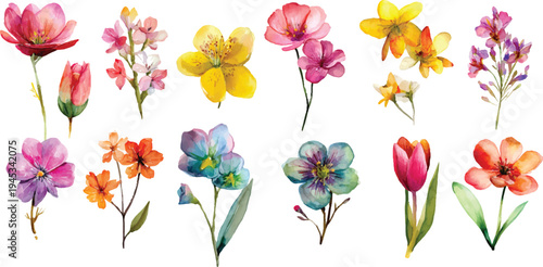 watercolor spring flower set