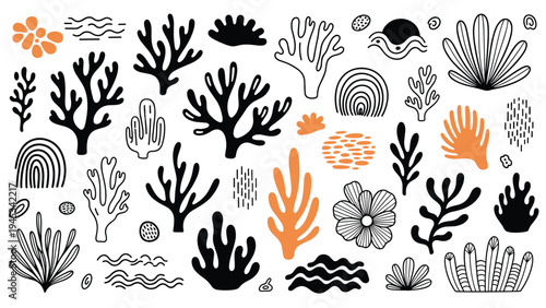 Large set of hand drawn ocean elements including various types of corals, seaweeds, flowers, and wavy patterns.