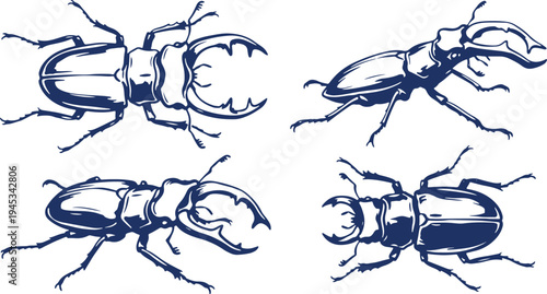 Hand Drawn Beetle Set Vector Illustration, Stag Beetle Insect Sketch Collection.