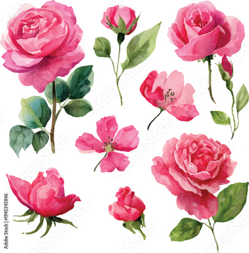 seamless pattern with pink roses