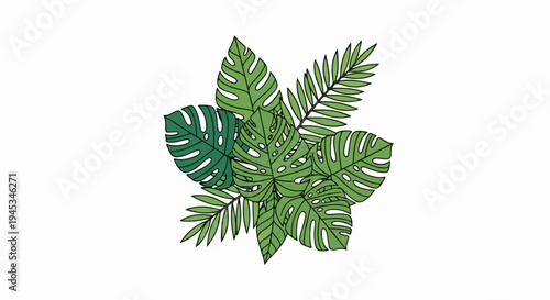 A variety of green monstera and fern leaves arranged together