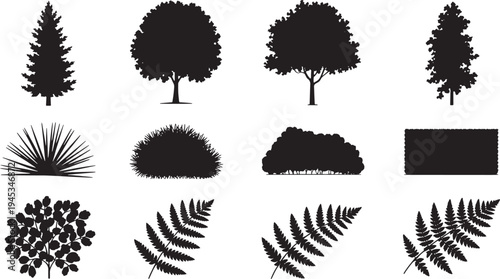 Set of tree and bush silhouettes collection pine oak maple shrub fern vector isolated on transparent background