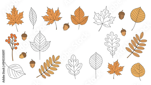 Set of various autumn leaves in shades of orange and brown alongside small acorns and berries for seasonal fall design and craft.