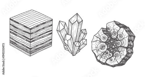 Geological cross section crystal cluster and fossilized ammonite geology layers strata