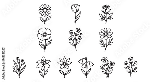 Collection of 13 simple black and white flower icons, line drawings of various blooms