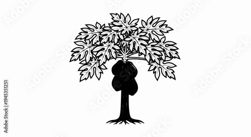Stylized black and white drawing of a papaya tree laden with fruit