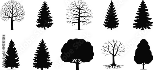 Tree silhouettes collection, pine and leafless forest trees set, black botanical nature shapes, woodland vector illustration isolated bundle