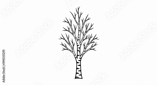 Stylized black and white drawing of a bare deciduous tree