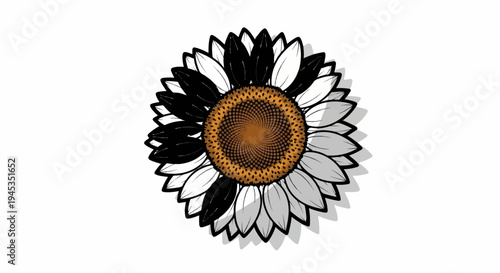 Striking graphic of a sunflower with bi-colored petals