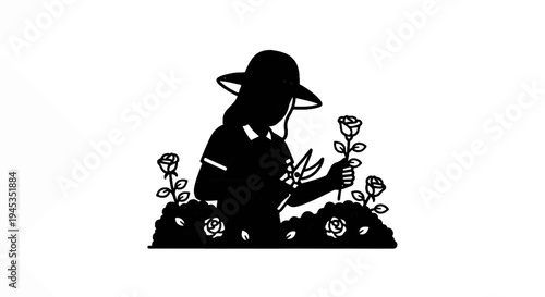 Silhouette of a person wearing a hat, tending to roses with shears in a garden