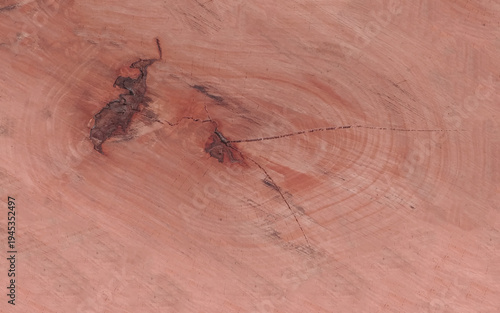 Natural wood texture. Wood oak tree close up texture background. Real natural wood texture and surface background ceramic marble tiles high resolution design