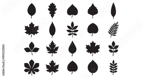 Collection of various green leaf silhouettes on Transparent Background, botanical shapes