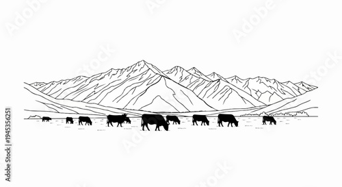 Silhouetted cows graze peacefully in a vast mountain landscape
