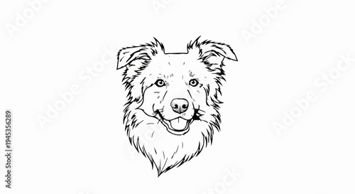 Sketch of a happy dog's face with a fluffy mane and open mouth