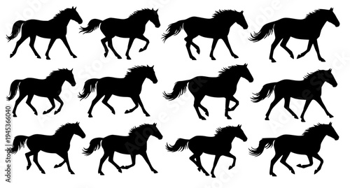 Running Horse Silhouette Set Different Horse Gaits Black Vector Illustration