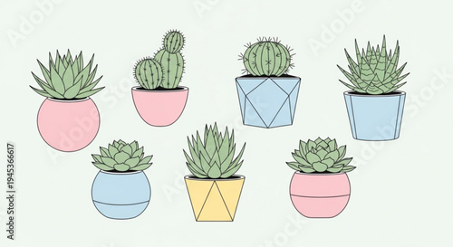 Colorful illustration of succulents and cacti in decorative pots on a light green background