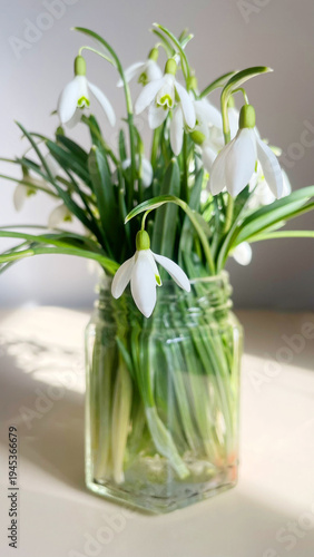А bouquet of snowdrops in a glass jar
