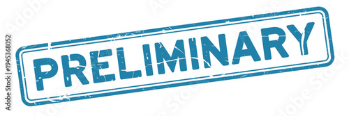 A blue rectangular stamp displaying the word preliminary in bold capitalized letters