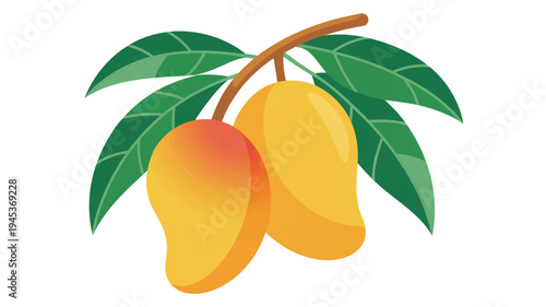 Two ripe yellow mangoes with green leaves on a branch isolated on white background fresh fruit illustration