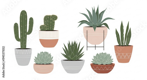Collection of potted cacti and succulents in decorative planters on white background for home decor inspiration