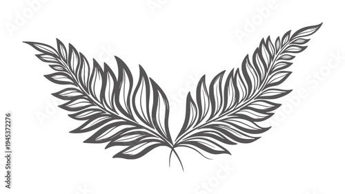 Dark grey stylized fern fronds forming a symmetrical arc leaf foliage plant
