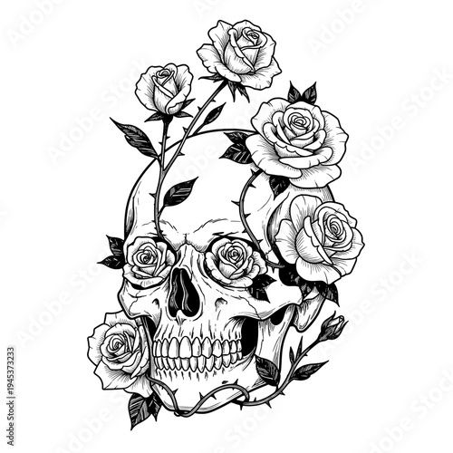 Black and White Line Art of a Skull With Roses