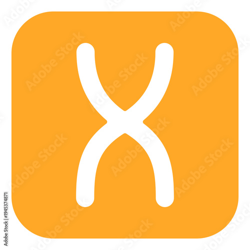 Chromosome Vector Icon