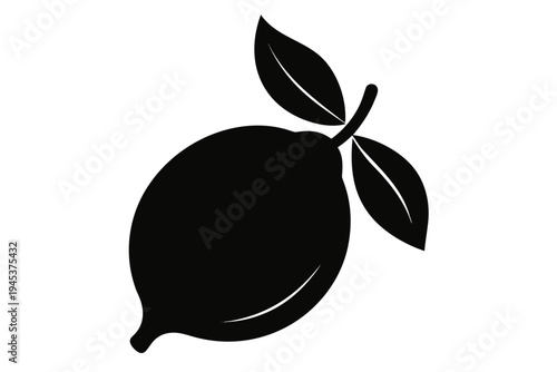  lemon fruit drawing icon vector, lemon  silhouette vector