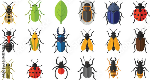 High Quality Illustration Set of Various Insects Including Beetles Ladybugs Wasp Ant Spider and Grasshopper Isolated on White Background for Nature and Education Design