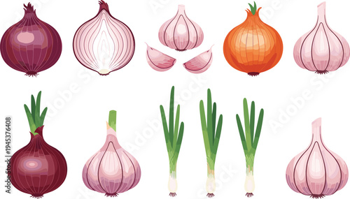 High Quality Illustration Set of Red and Yellow Onions Garlic Bulbs Cloves and Green Spring Onions Isolated on White Background for Culinary Design