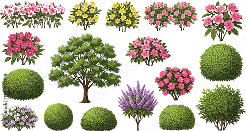 Collection of decorative garden trees flowering shrubs and green bushes isolated set for landscape design botanical vector illustration pack bundle