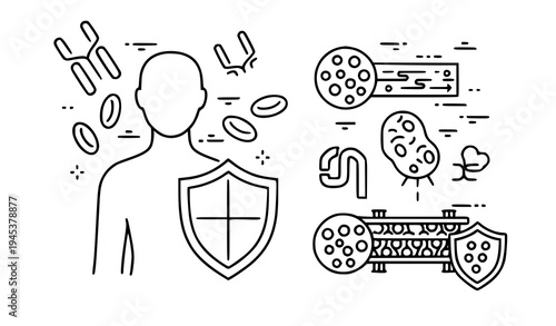 A vector graphic illustration of immune system concept with shield and microbes