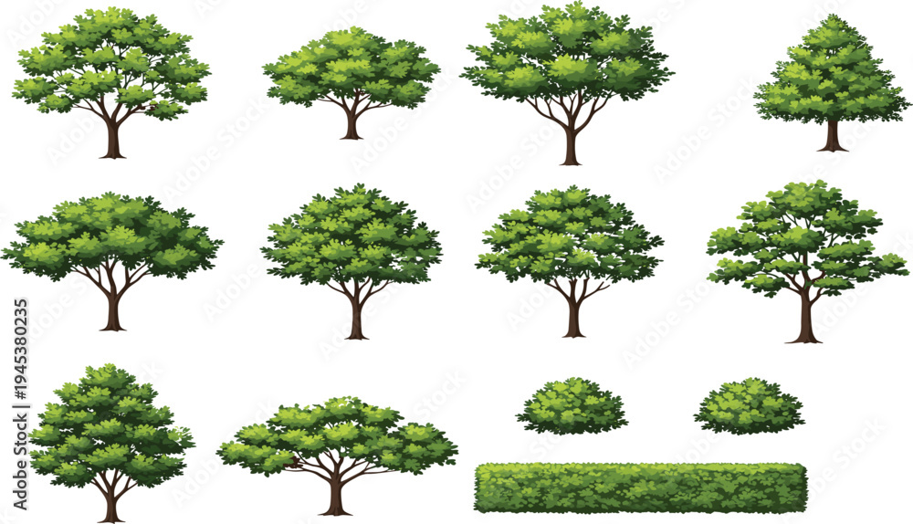 Fototapeta premium Collection of green leafy trees shrubs and hedge elements isolated on white detailed nature landscape botanical vector illustration set pack