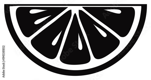 Graphic Illustration of a Black and White Orange Slice with Visible Segments and Pulp Details