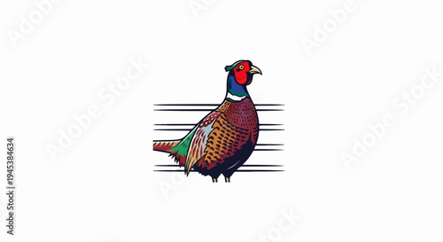 Colorful pheasant bird illustration with horizontal lines
