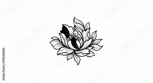 Detailed black and white illustration of a blooming flower with many petals