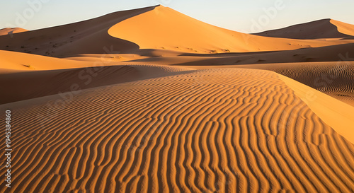 Sand Dunes Wind Patterns Erg Chebbi Morocco Golden