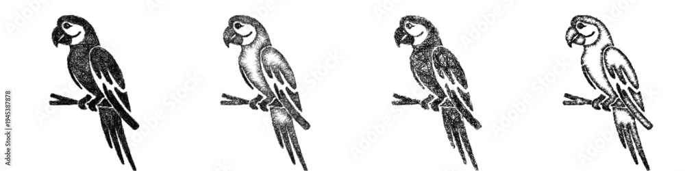 Fototapeta premium Sketch macaw icon design set