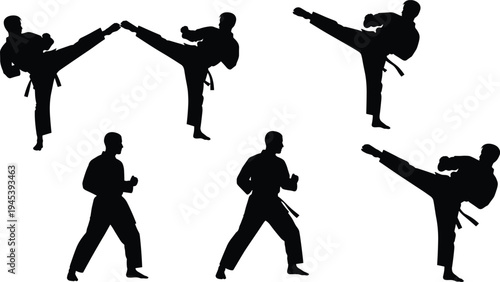Martial arts silhouettes performing high kicks, fighting stances, defensive poses, traditional uniform belt discipline vector design illustration
