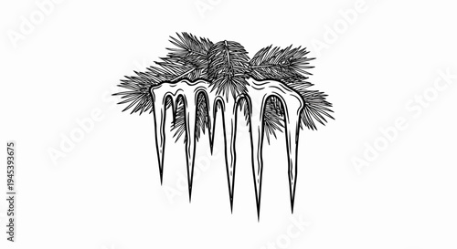 Stylized illustration of pine needles with melting ice formations
