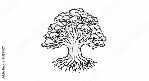 Stylized drawing of an ancient tree with prominent roots and a full crown