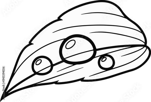 Stylized outline of a leaf with three dew drops